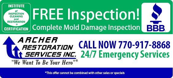 Free Mold Inspection